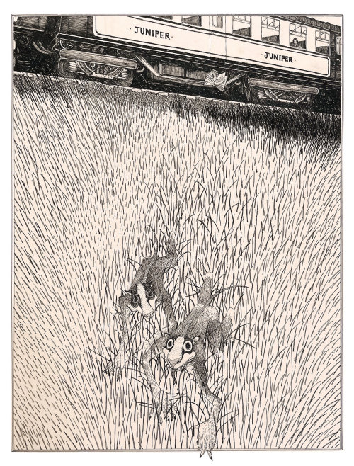 Ilustração em preto e branco de feras noturnas