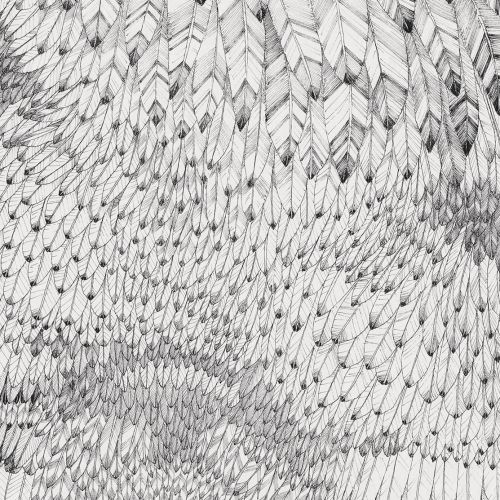 Print Feather pattern illustration