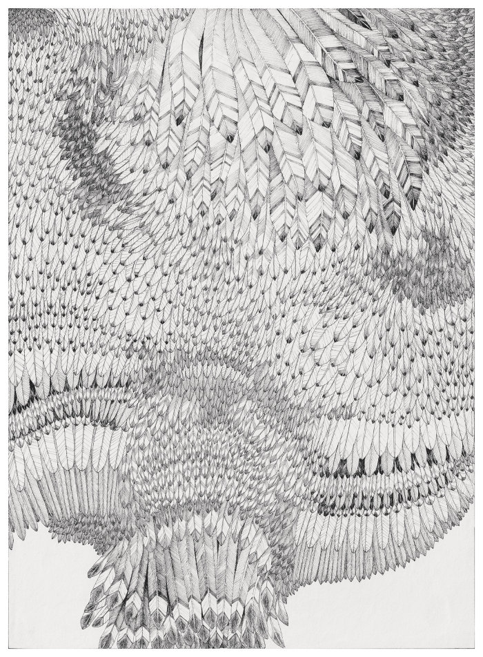 Print Feather pattern illustration