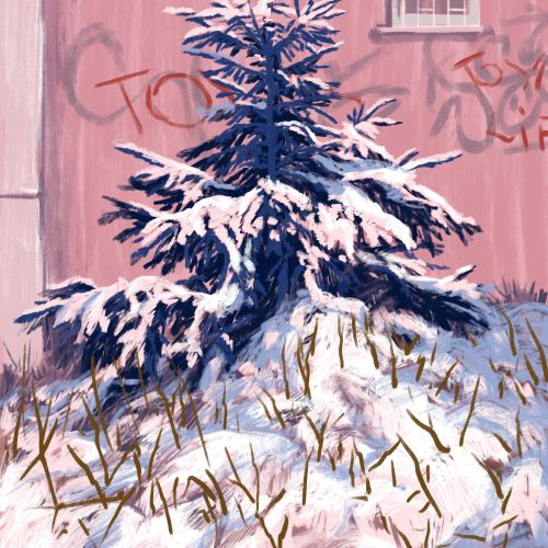 Snowy pine tree against pink wall with graffiti and windows
