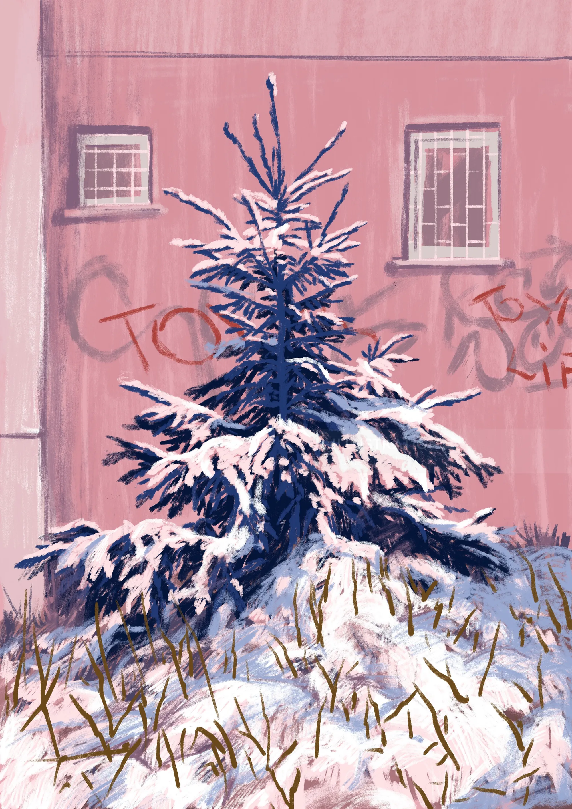 Snowy pine tree against pink wall with graffiti and windows