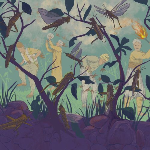 Roma Gavrila The World Around Us Illustrator from Romania