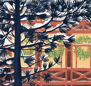 Tree with pine needles in front of wooden greenhouse with glass windows