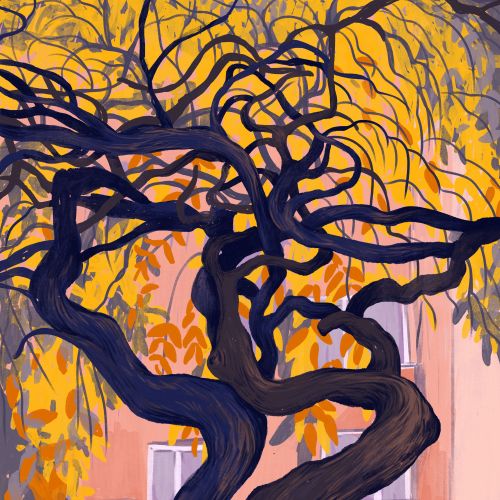 Twisted tree with yellow leaves in front of building windows.