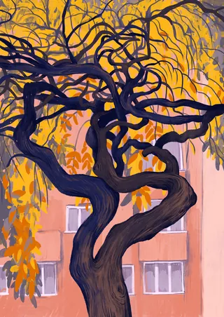 Twisted tree with yellow leaves in front of building windows.
