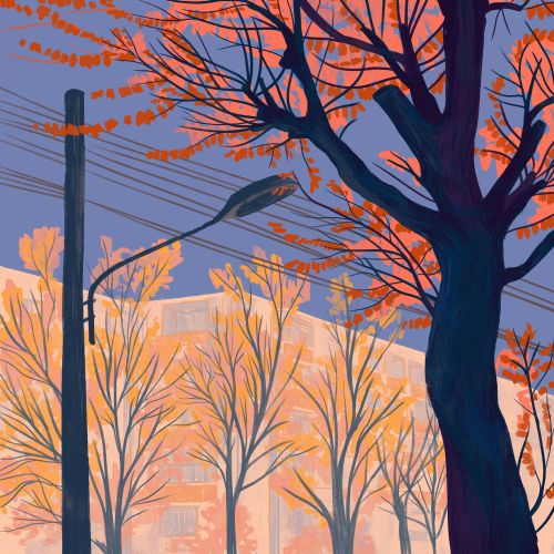 Leafless trees with red branches under purple sky near buildings and power lines