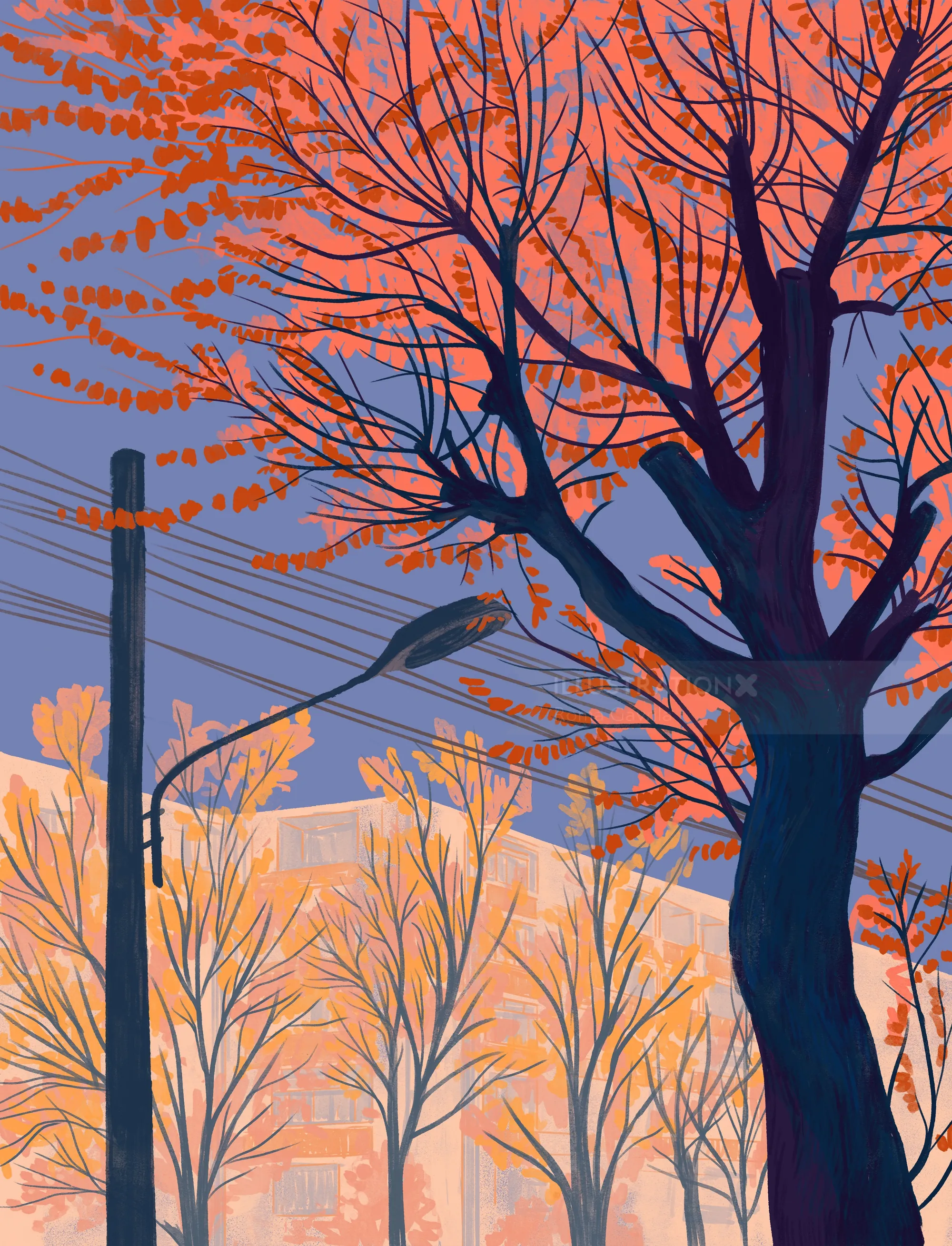 Leafless trees with red branches under purple sky near buildings and power lines