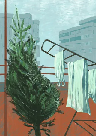Pine tree hanging on indoor drying rack with clothes near window