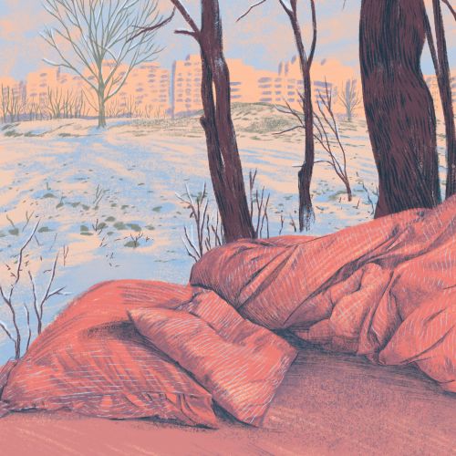 Roma Gavrila Nature Illustrator from Romania