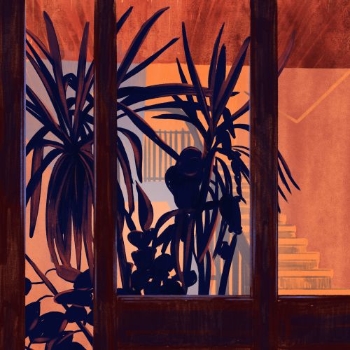 Silhouetted indoor plants behind glass window with warm lighting