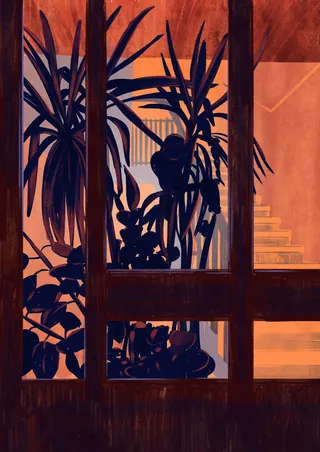 Silhouetted indoor plants behind glass window with warm lighting