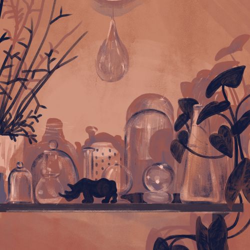 Glass bottles and plants with a large water droplet hanging above