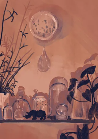 Glass bottles and plants with a large water droplet hanging above