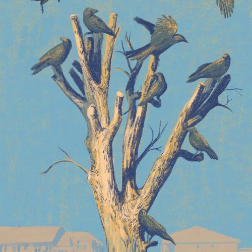 Roma Gavrila Painting Illustrator from Romania