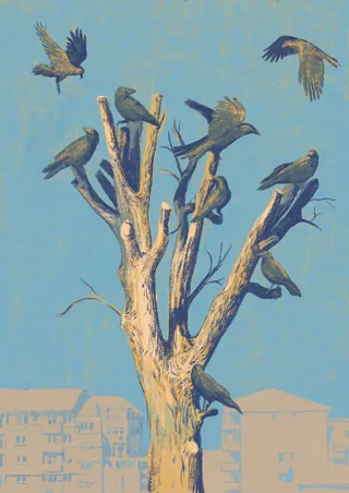 Vultures perched and flying around a bare tree in an urban area