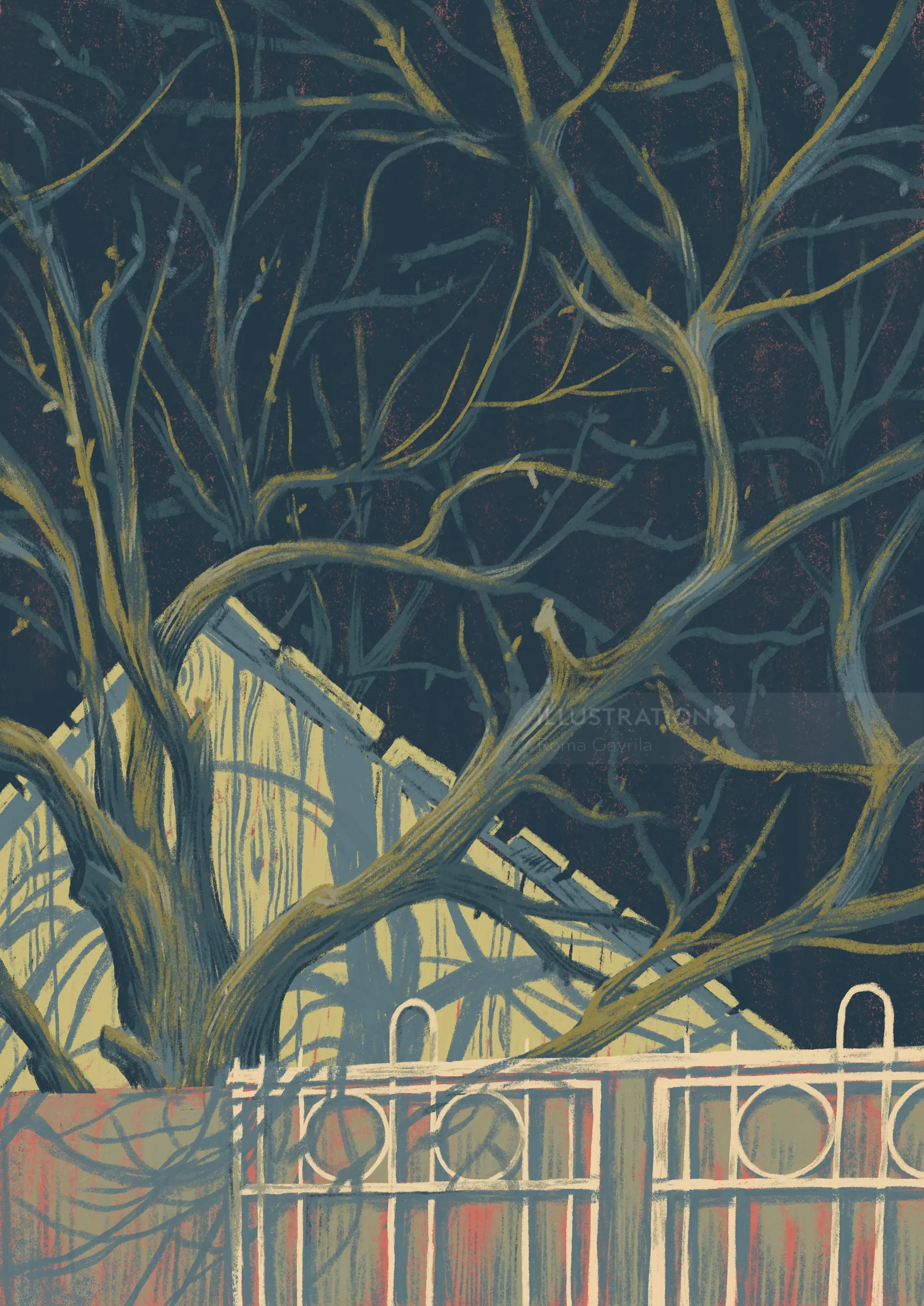 Tree with twisted branches and fence in front of house at night