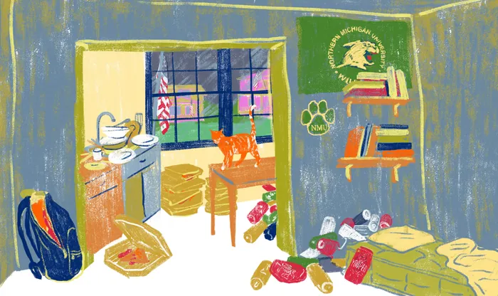Cat on chair in kitchen with bookshelves and spilled cans