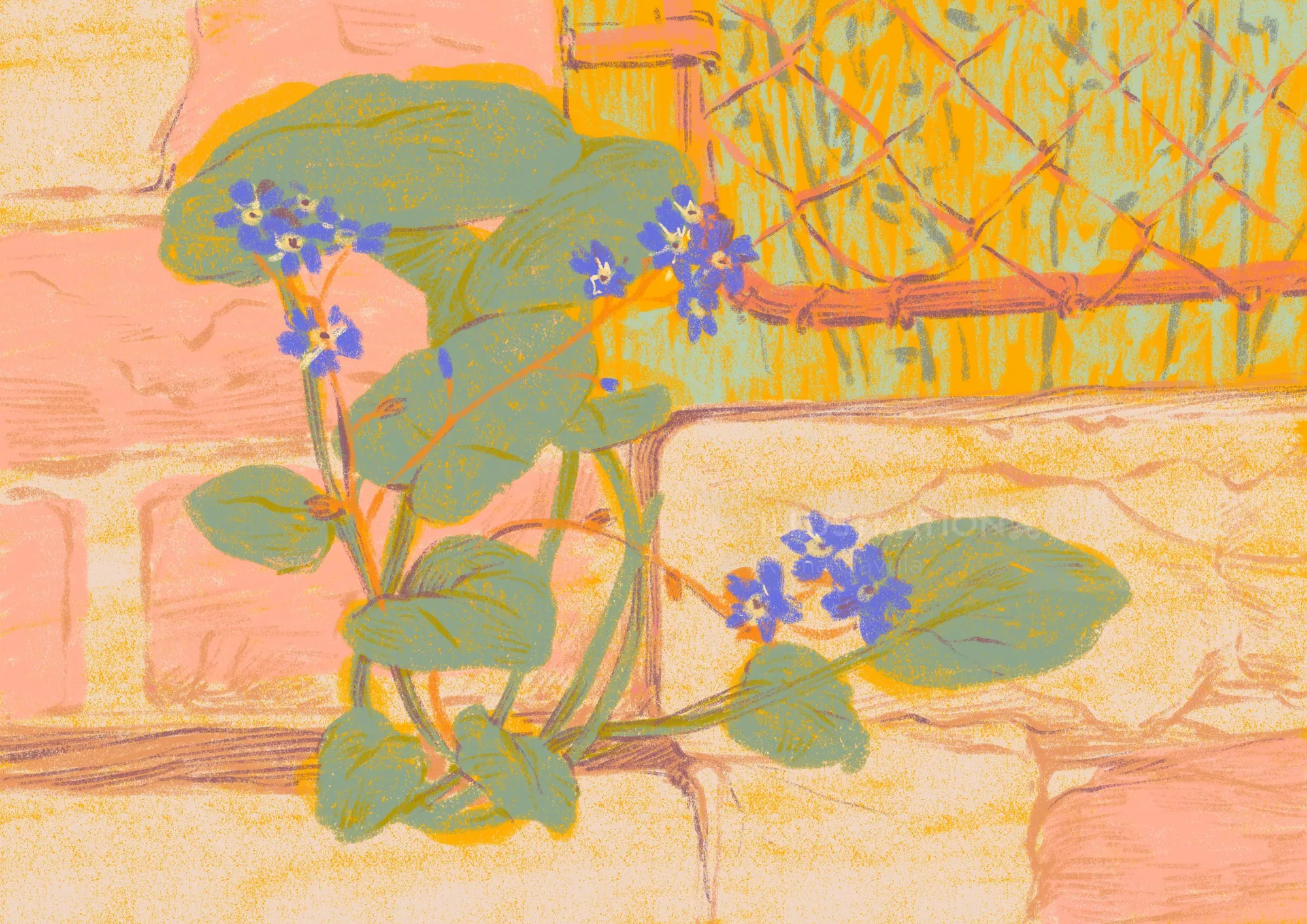 Eine Blume wächst durch Mauerritzen und zeigt die Widerstandsfähigkeit der Natur (Foto: Roma Gavrila)