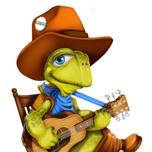 Turtle in cowboy attire playing a guitar while sitting on a rocking chair