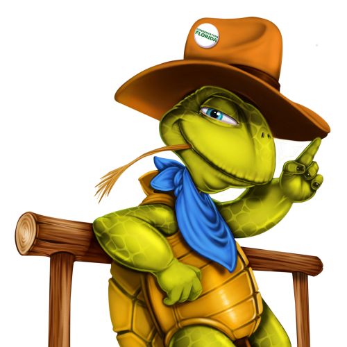 Cartoon turtle wearing cowboy hat, boots, and blue bandana