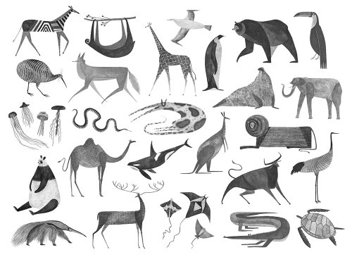 Uma seleção de séries de pinturas de animais para um mapa do mundo