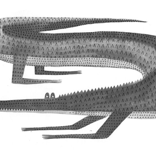 Crocodile illustration by Rosanna Tasker