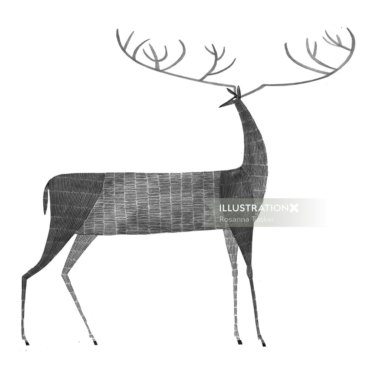 Illustration of Moose