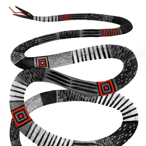 Snake illustration 