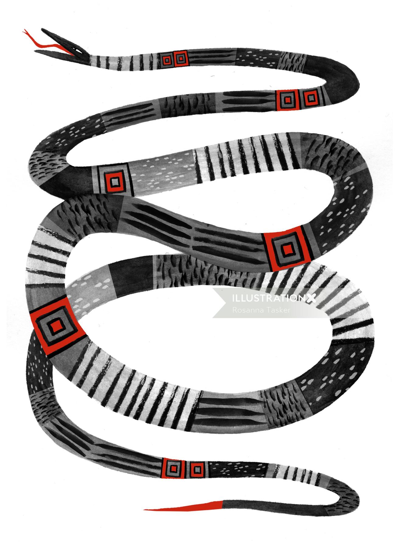 Snake illustration 