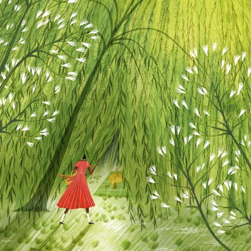 willow, tree, picnic, food, drink, summer, spring, calendar, season, sun, sunshine, warm, dress