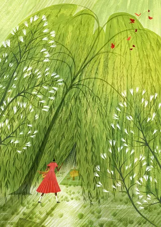 willow, tree, picnic, food, drink, summer, spring, calendar, season, sun, sunshine, warm, dress