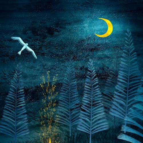 camping, camp, summer, spring, nature, wild, wilderness, owl, moonight, night, dark, campfire