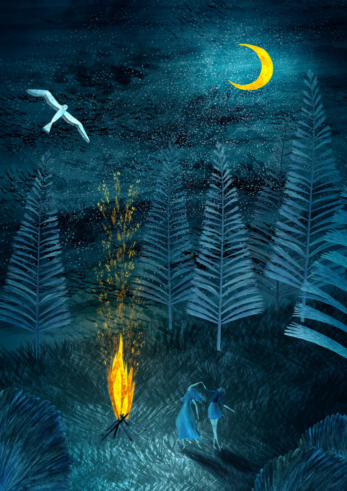 camping, camp, été, printemps, nature, sauvage, désert, hibou, clair de lune, nuit, sombre, feu de camp