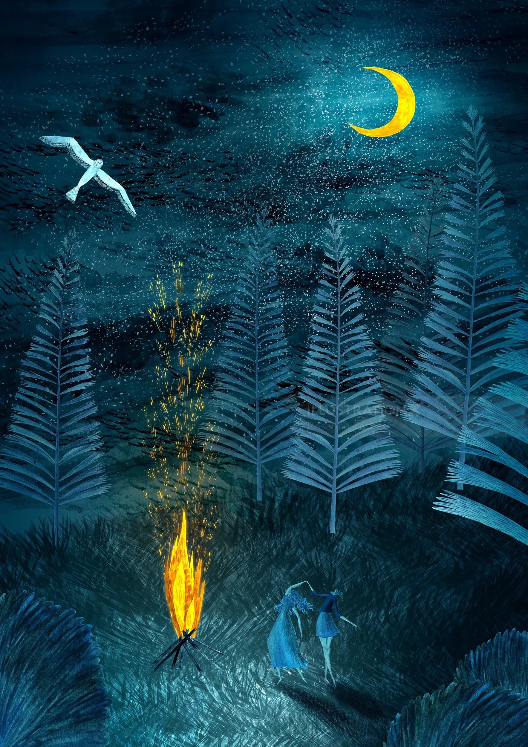 camping, camp, summer, spring, nature, wild, wilderness, owl, moonight, night, dark, campfire