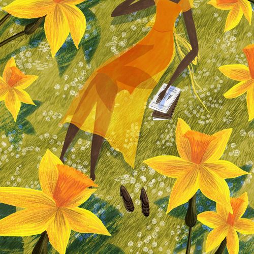 daffodil, daffodils, flowers, flower, spring, yellow, read, reading, book, books