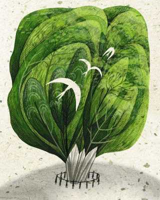 Ilustração sobre a proteção de plantas florestais, de Rosanna Tasker