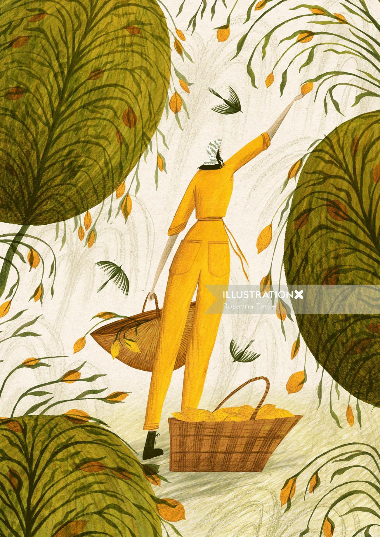 Woman picking lemons from the tree
