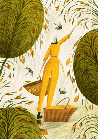 Woman picking lemons from the tree