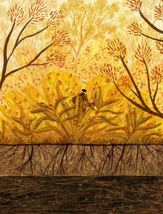Autumn trees with golden leaves and detailed roots beneath forest floor by Rosanna Tasker