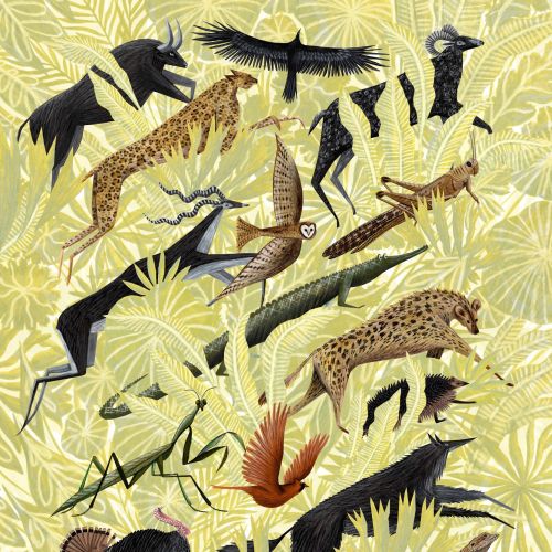 Stylized African wildlife animals by Rosanna Tasker on leafy background