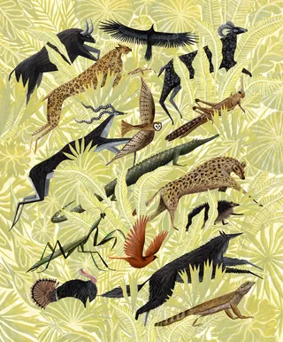 Stylized African wildlife animals by Rosanna Tasker on leafy background