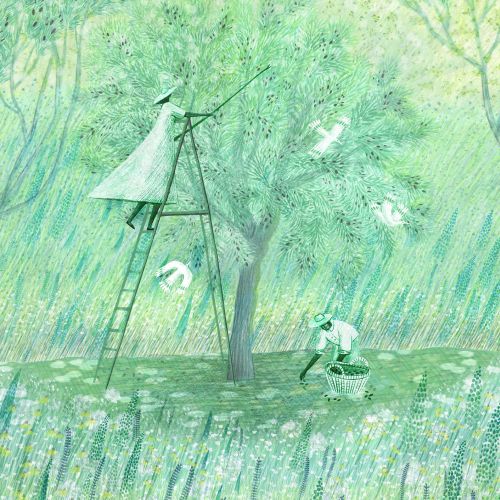 Person on ladder catching birds near a tree in a grassy field