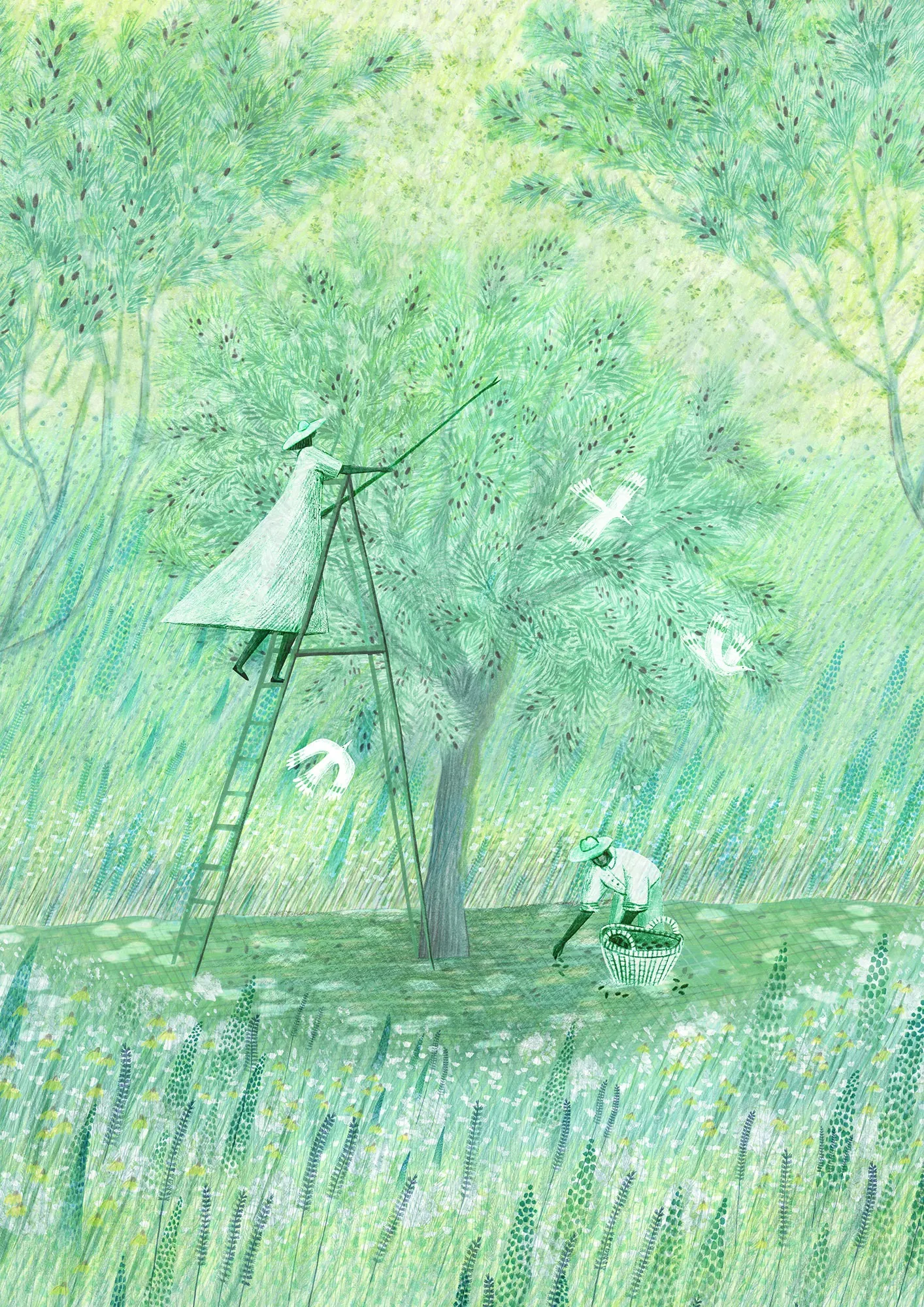 Person on ladder catching birds near a tree in a grassy field