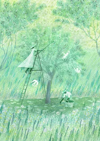 Person on ladder catching birds near a tree in a grassy field