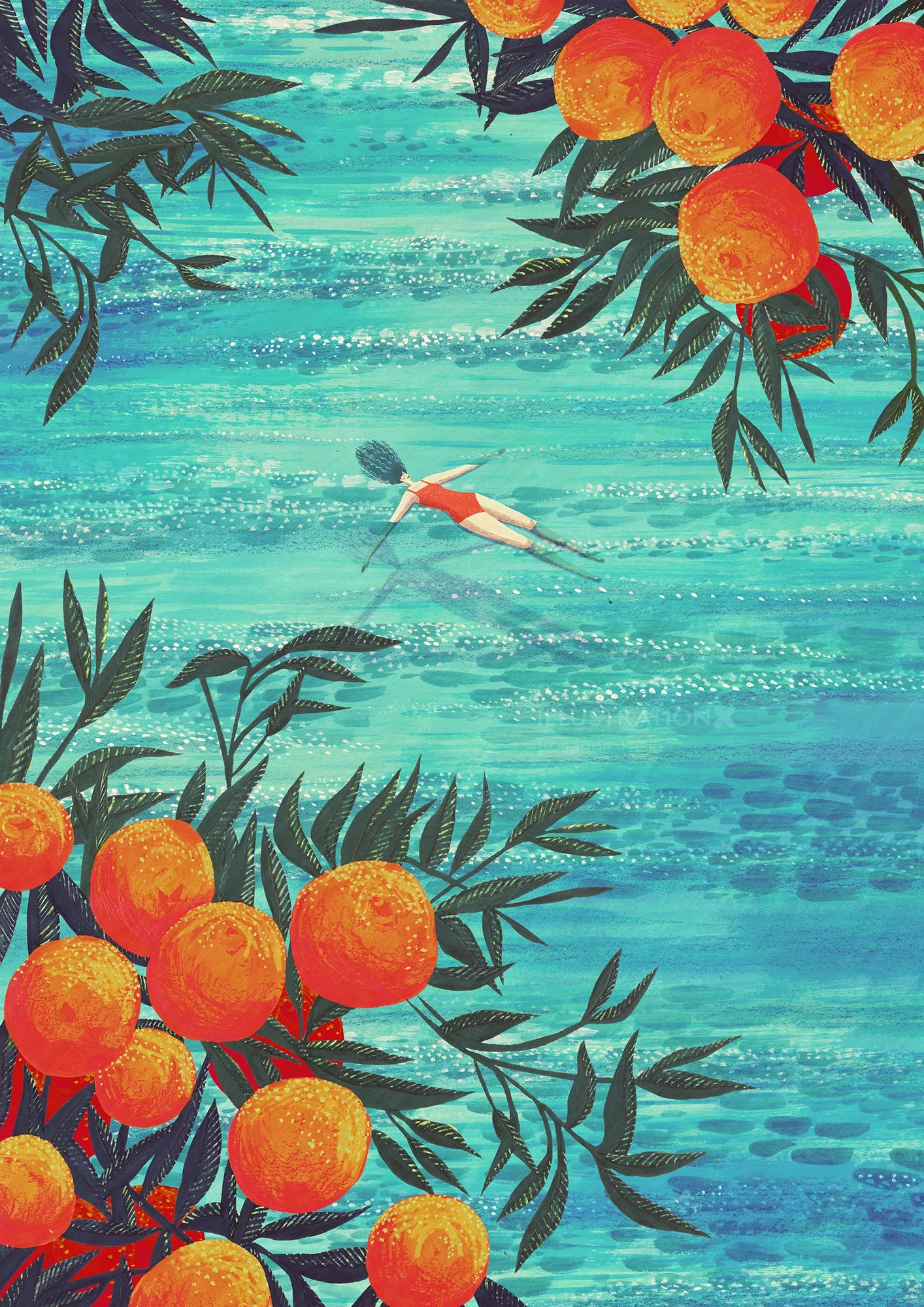Swimmer in blue water with orange fruit trees around