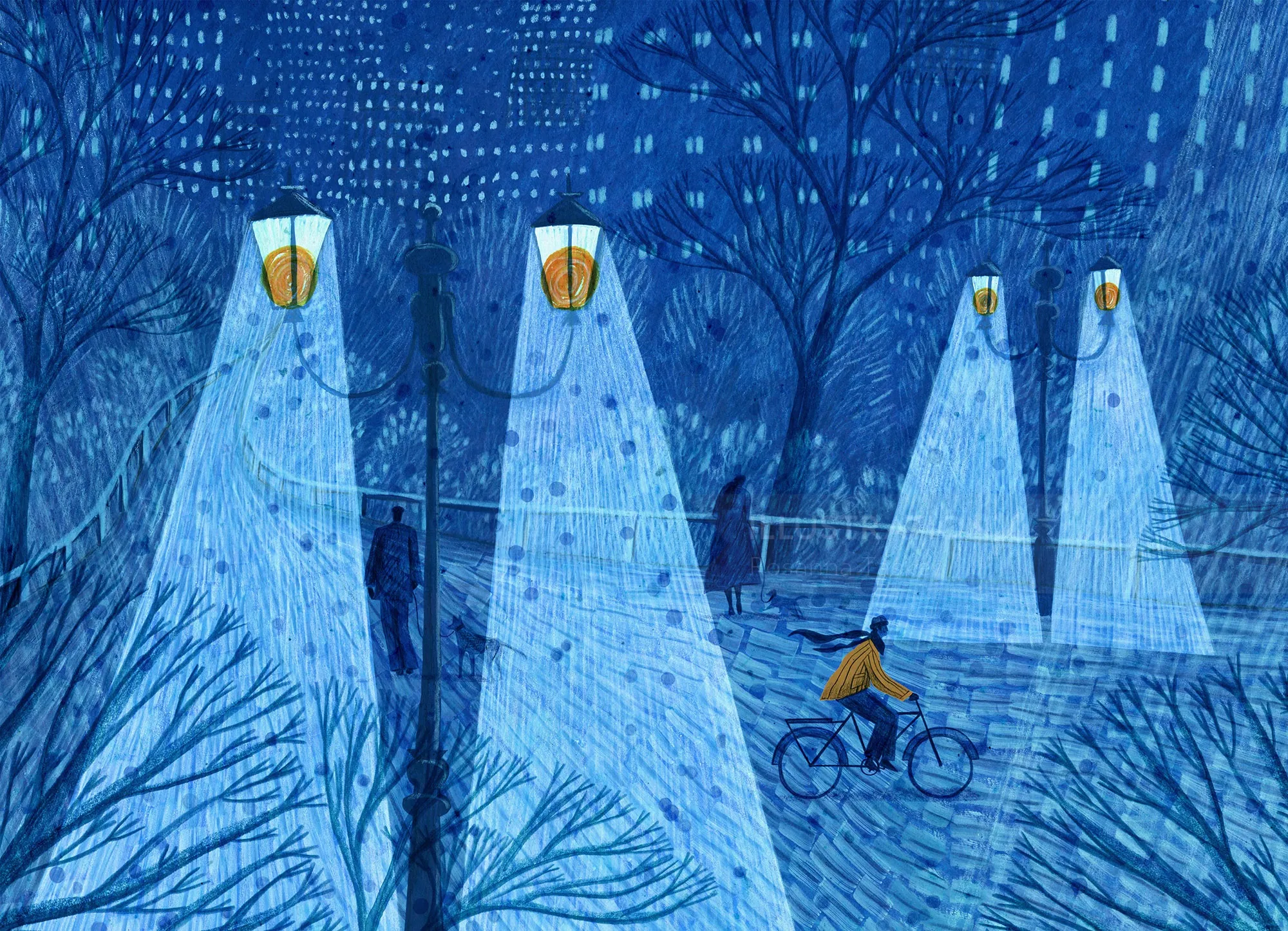Rosanna Tasker Ilustración de un ciclista montando entre luces brillantes en un bosque azul.