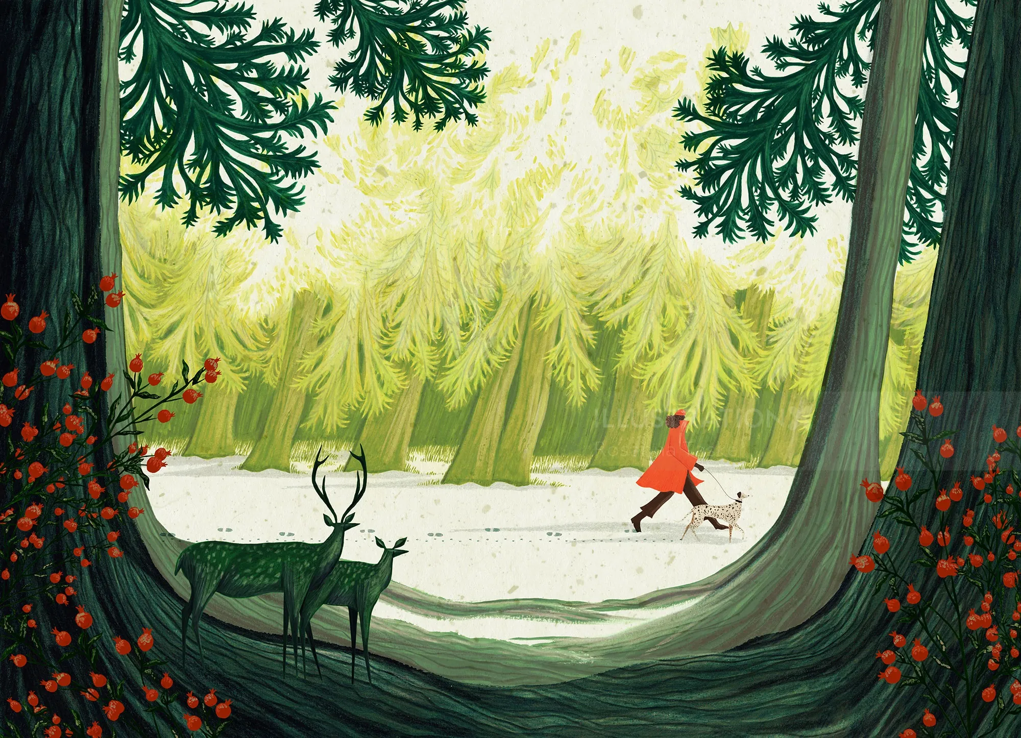 Rosanna Tasker Ilustración de un niño con abrigo rojo en un bosque nevado con ciervos.