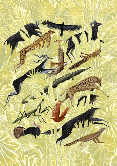 Rosanna Tasker illustration of giraffes, birds, insects, and tropical foliage