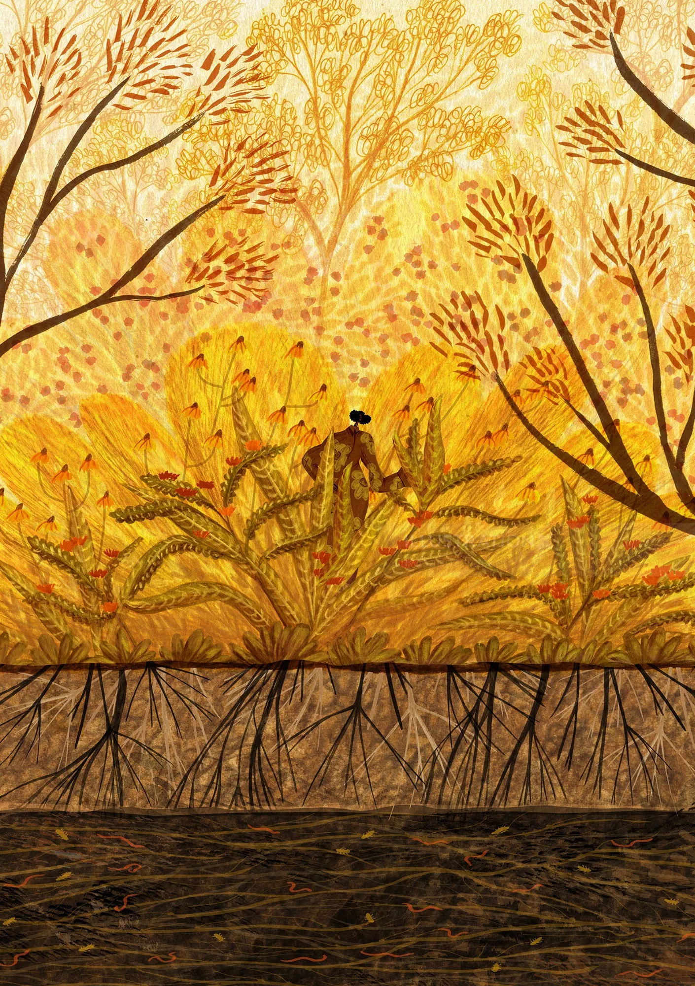 Autumn forest with golden trees and exposed roots, illustrated by Rosanna Tasker.
