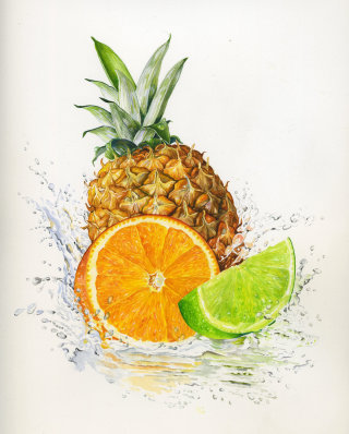 罗西·桑德斯 (Rosie Sanders) 绘制的菠萝、橙子和柠檬插图